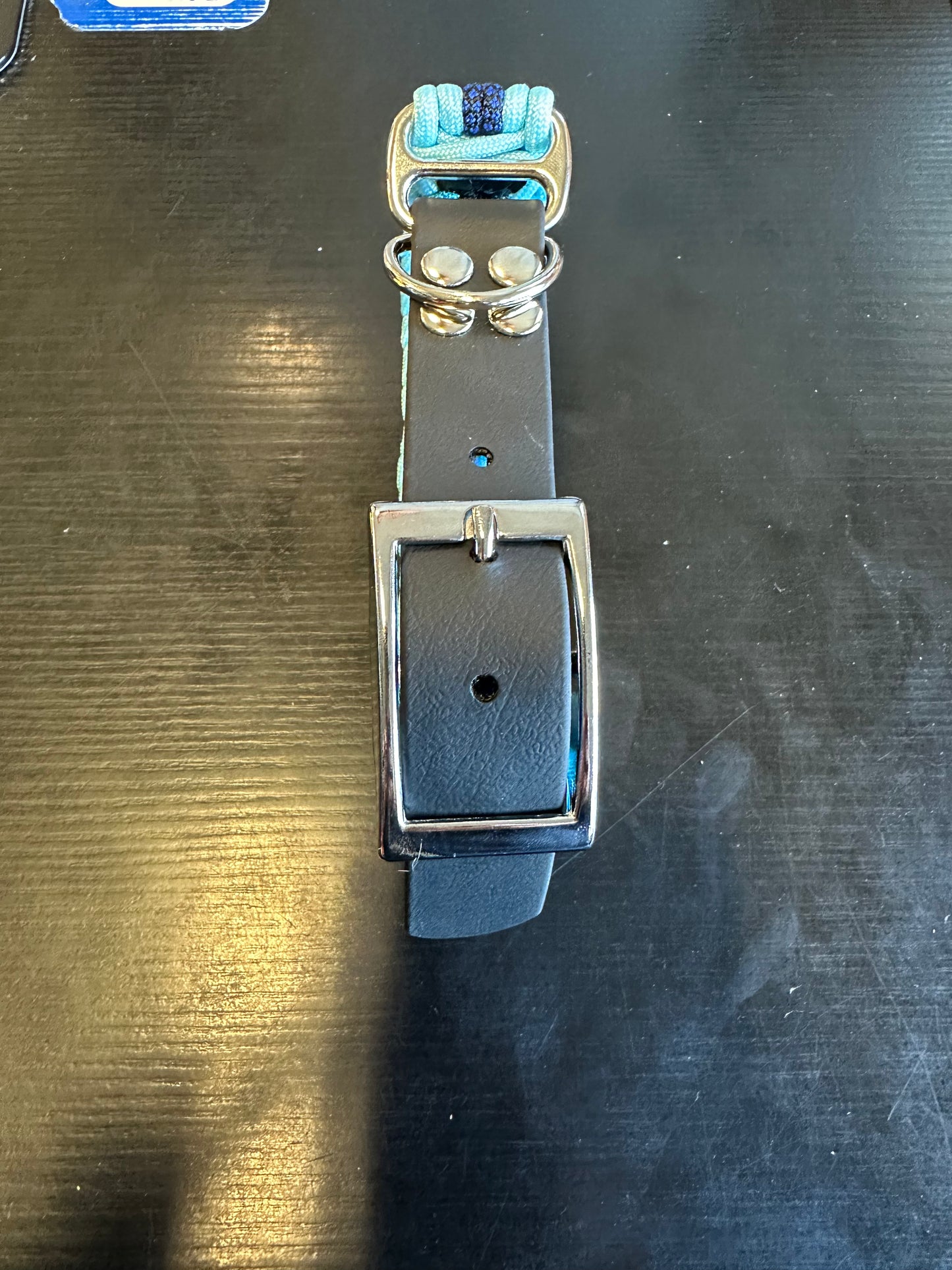 COLLIER CHIEN PARACORD + BIOTHANE MODELE THE SPINE