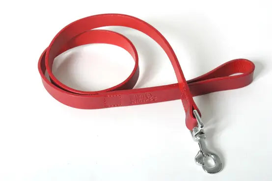 LAISSE EN CUIR MARTIN SELLIER AVEC TRESSAGE PARACORD