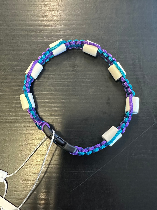 COLLIER ANTI-TIQUES POUR CHIEN TAILLE 25CM VIOLET ACIDE ET AQUA