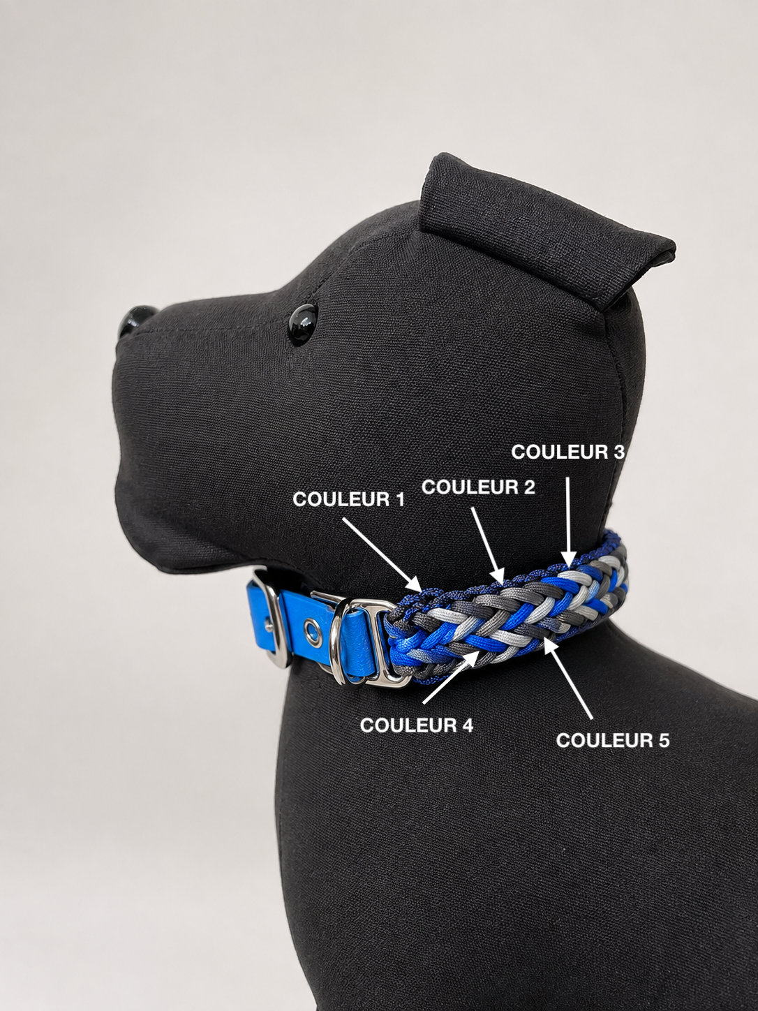 COLLIER CHIEN PARACORD + BIOTHANE