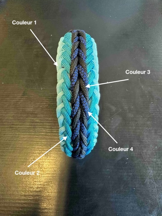 COLLIER CHIEN PARACORD + BIOTHANE
