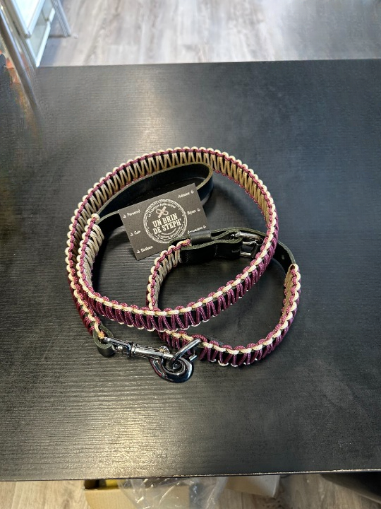 ENSEMBLE COLLIER + LAISSE EN CUIR AVEC TRESSAGE PARACORD