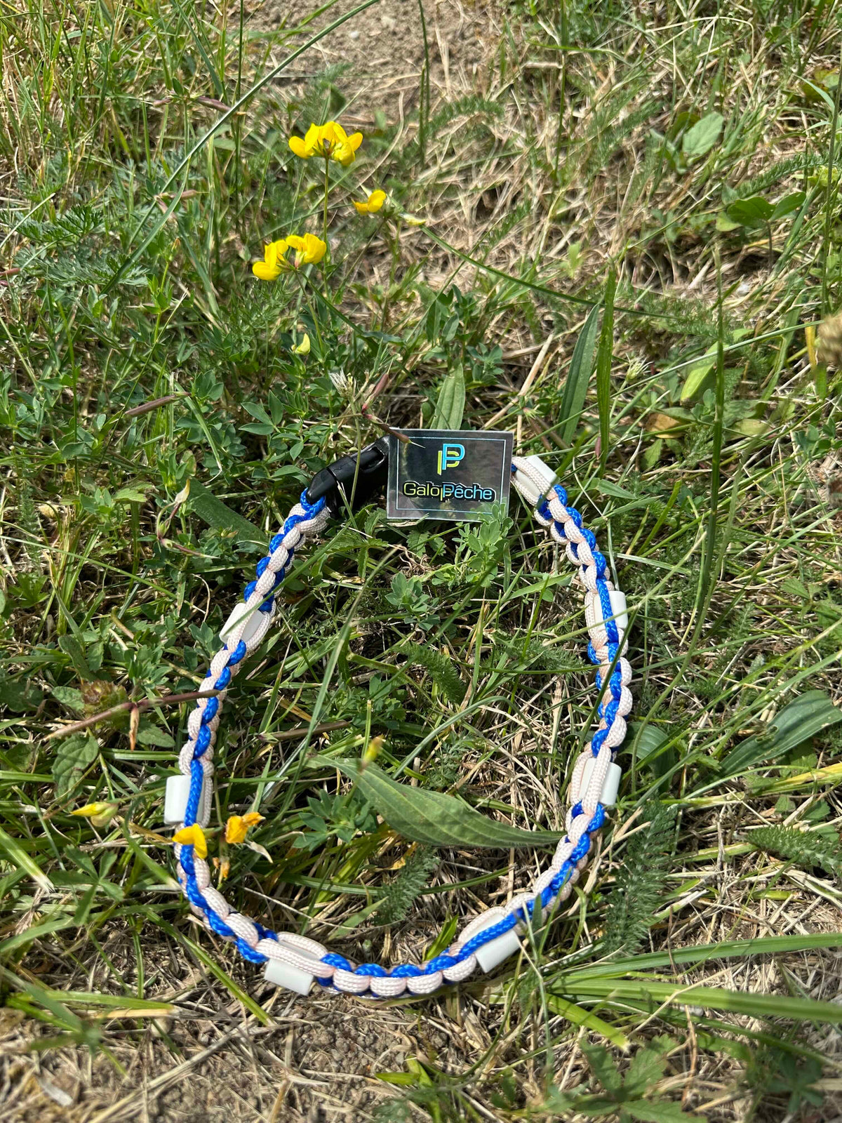 ZEKKENHALSBAND FÜR HUNDE