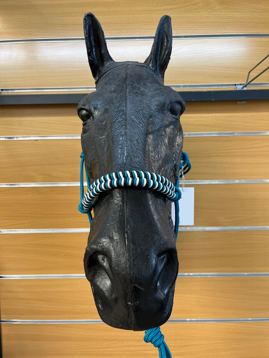 LICOL ETHOLOGIQUE TAILLE CHEVAL AQUA TRESSAGE EPI NOIR/AQUA/BLANC