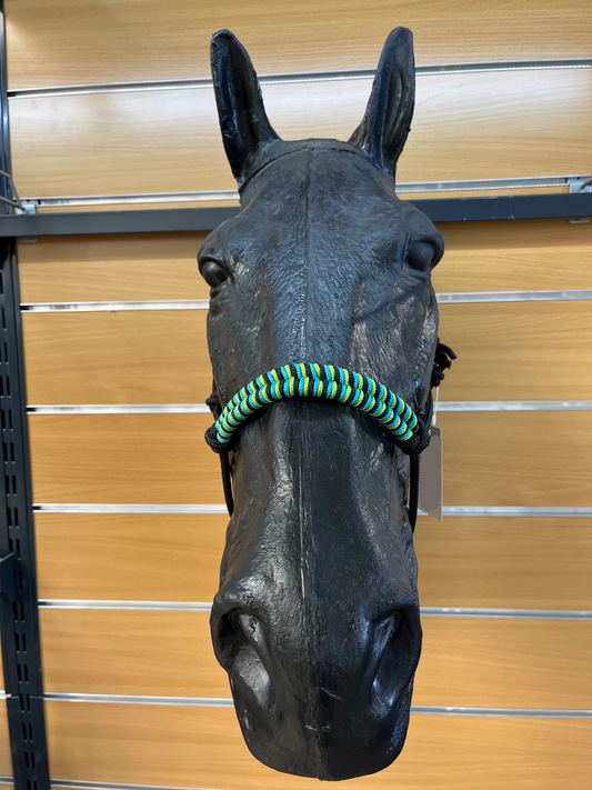 LICOL ETHOLOGIQUE TAILLE PONEY NOIR TRESSAGE EPI NOIR/VERT POMME/BLEU OCEAN