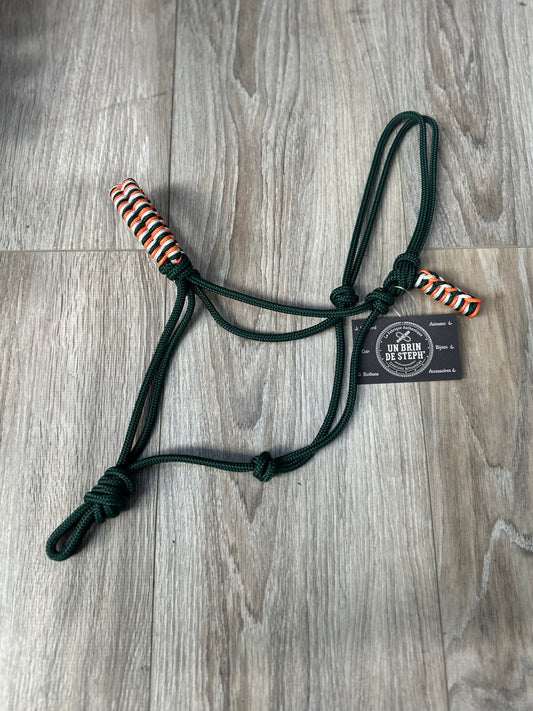 LICOL ETHOLOGIQUE TAILLE SHETLAND VERT SAPIN TRESSAGE EPI VERT SAPIN/ORANGE/BLANC