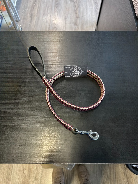 ENSEMBLE COLLIER + LAISSE EN CUIR AVEC TRESSAGE PARACORD